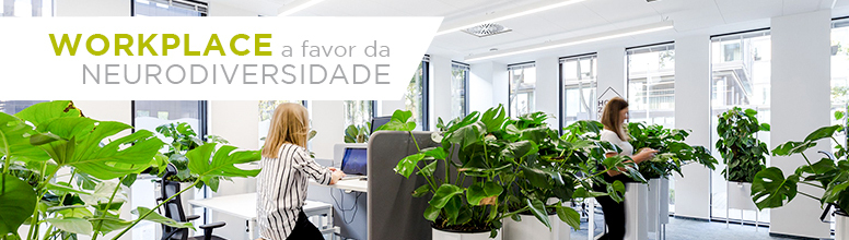 Workplace e neurociencia 2