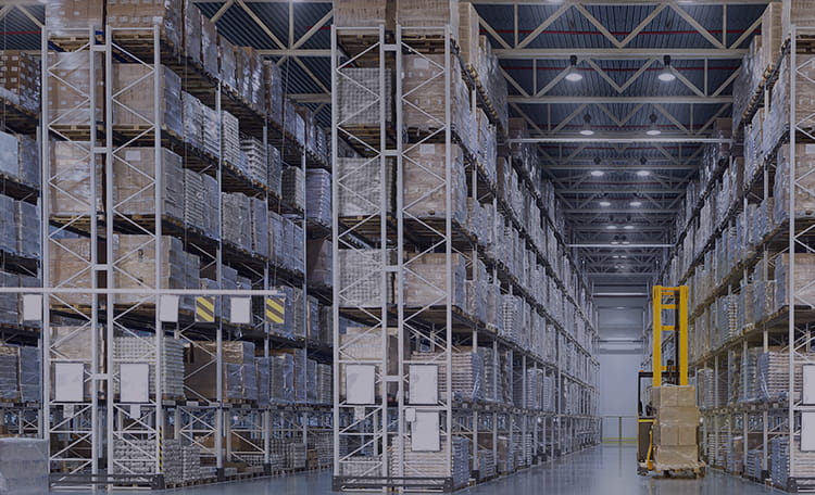 Panorama Logistico 2025