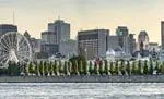 Montreal Skyline
