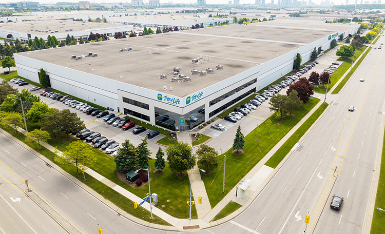 Tree-of-Life-in-GTA-Webcard