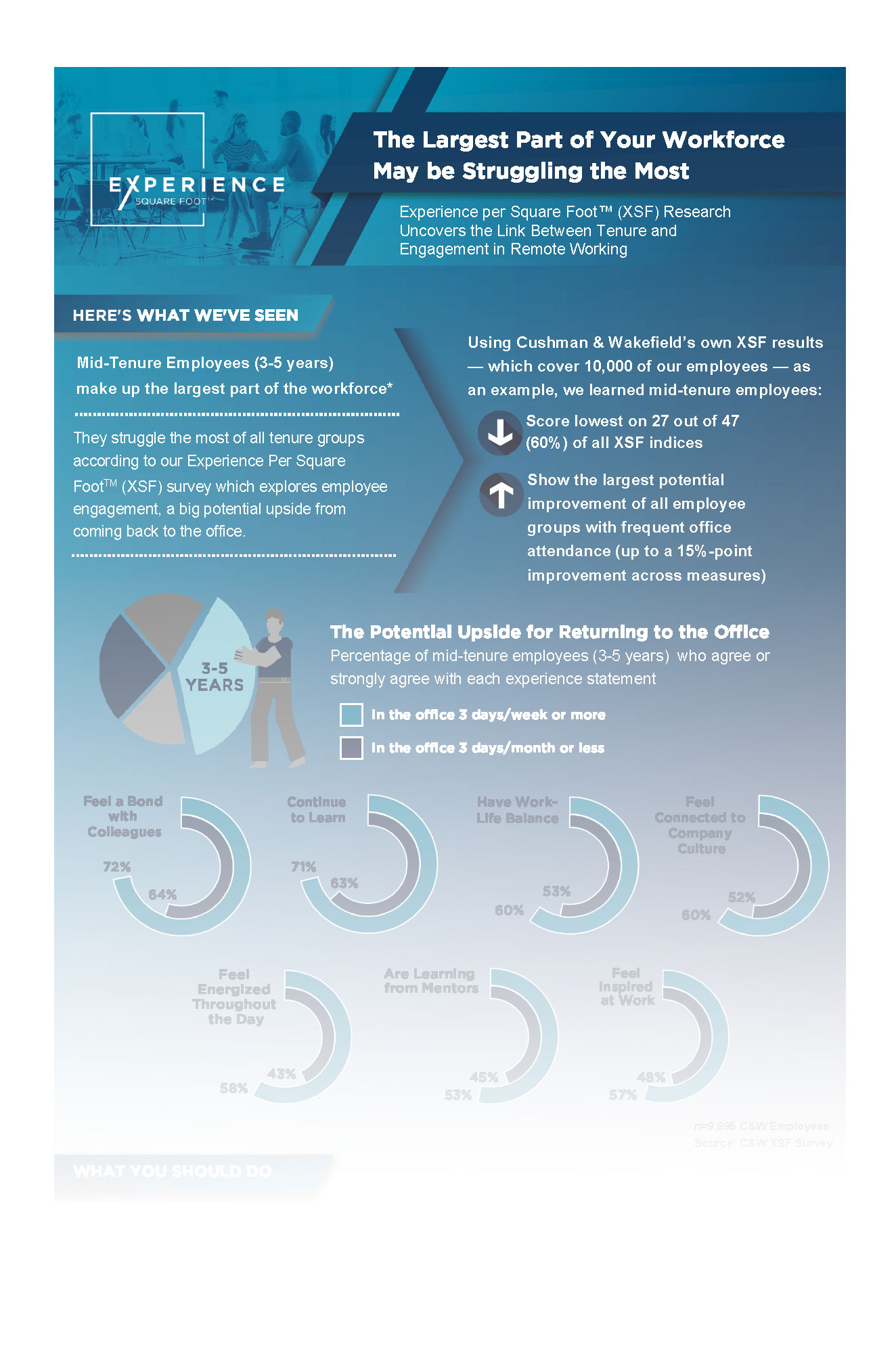 XSF Infographic (image)