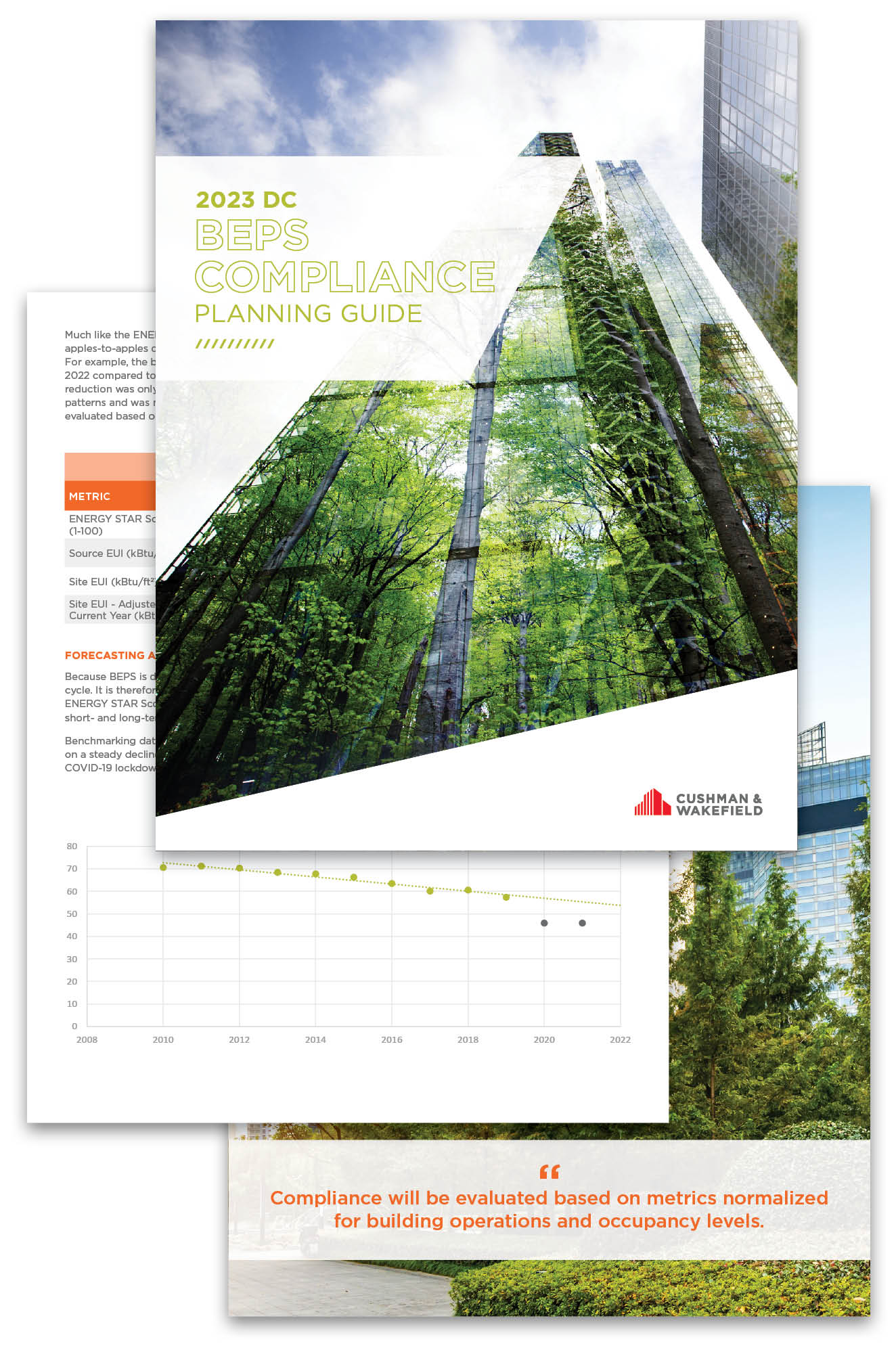 BEPS_Feb2023_Thumbnail