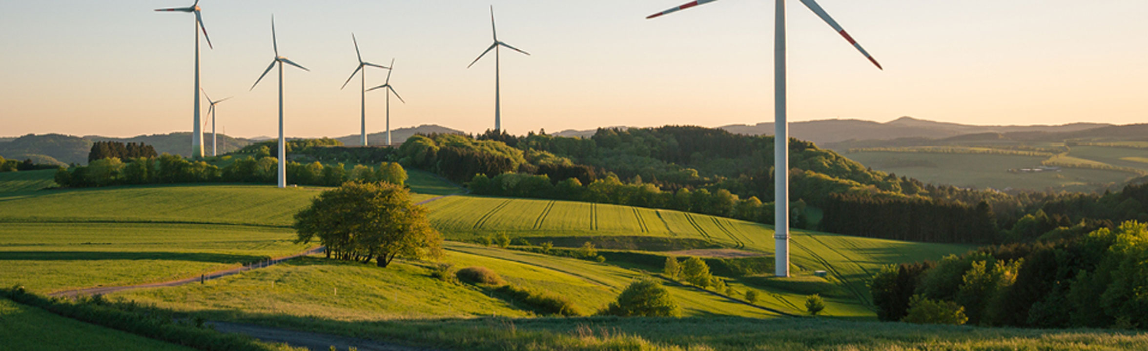 windmills