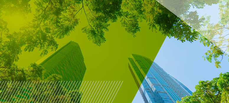 Sustainable-Cert-Article_June2023_Banner_2