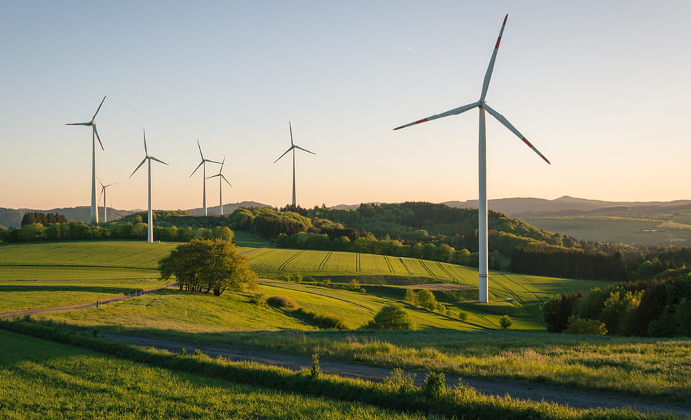 windmills