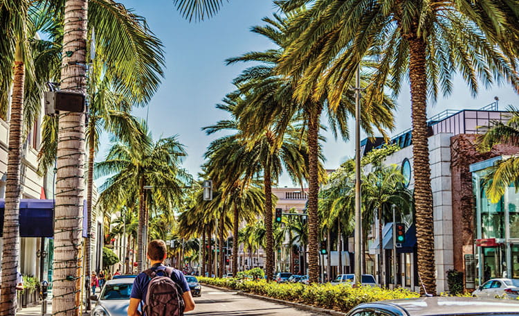 West Los Angeles Landscape