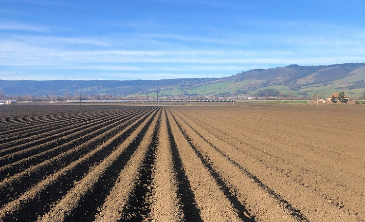 Rowe Ca Cushman & Wakefield Brokers Sale of 50-Acre Rowe Ranch in California ...
