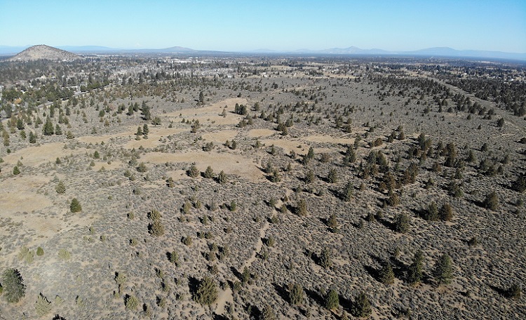 PORTLAND - Stevens Tract Land Sale