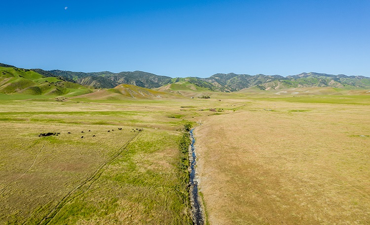 Cushman & Wakefield Advises Sale of 58,000-Acre Ashurst Ranch in ...