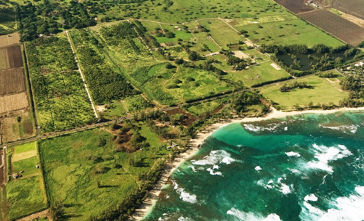 HONOLULU - Dillingham Ranch Offering