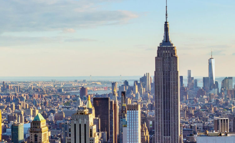 New York City Tenant Rep (image)