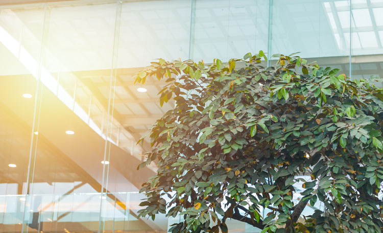 ENERGY STAR® Portfolio Manager Building Emissions Calculator