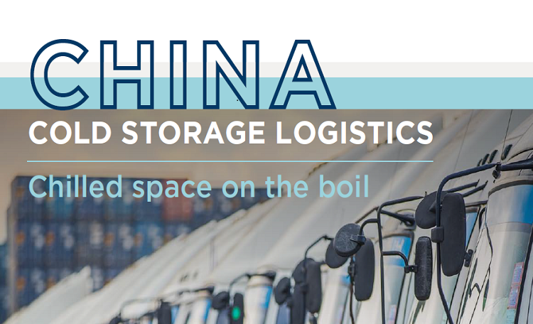 China Cold Storage Logistics Report 2022