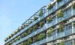 Sustainability – Purpose-Led growth