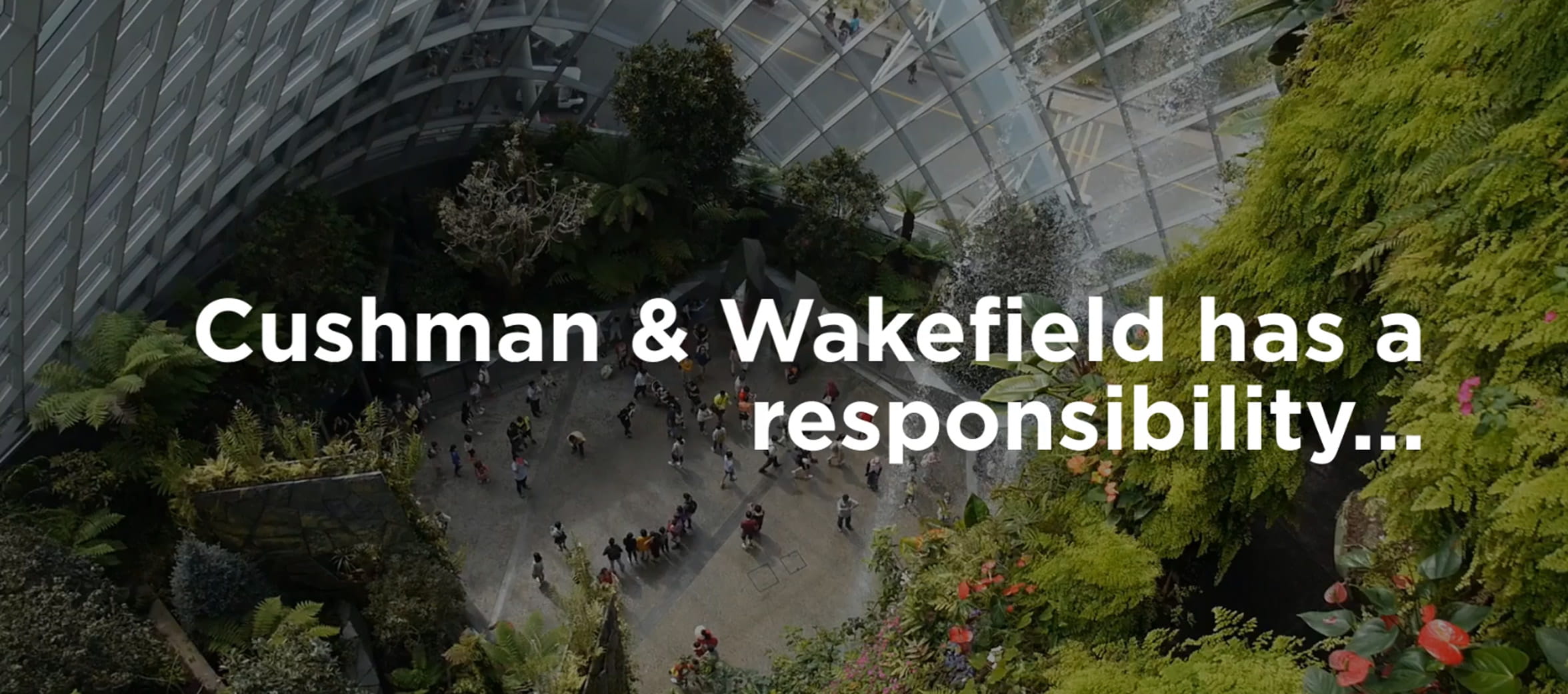 C&W Sustainability Video