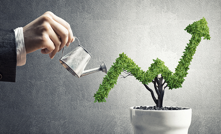 Foreign Real Estate Investment Trust