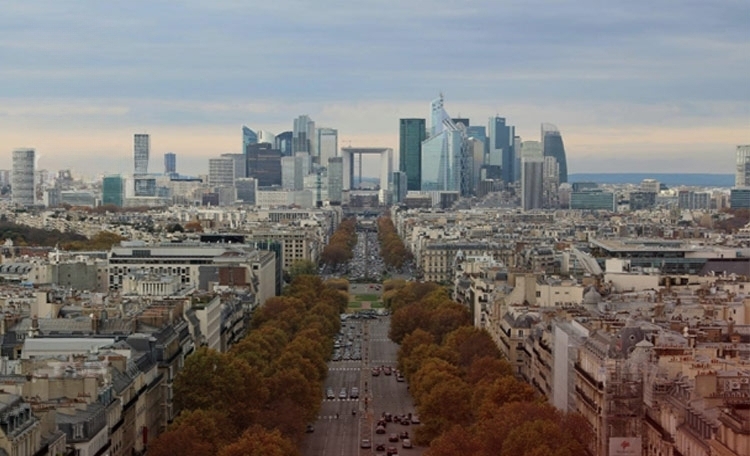 CWMagokMarketInsightVol2