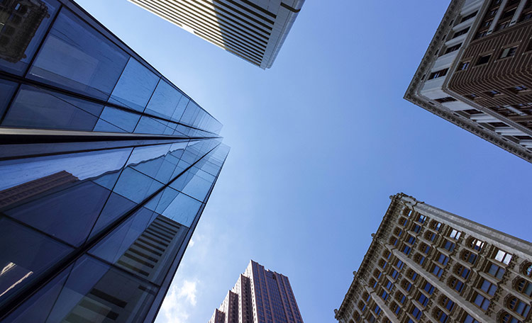 ROCHE HCM – SSG Tower Office Project Management