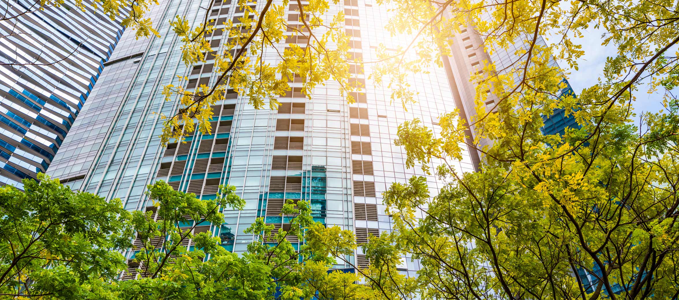 Relever le Défi des Émissions du Scope 3 : Stratégies pour l’Immobilier