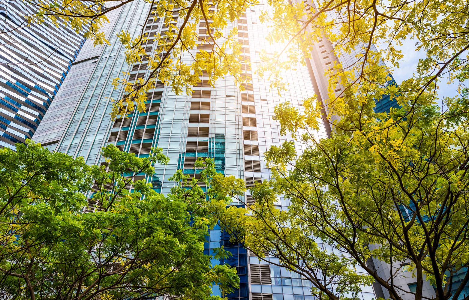 Relever le Défi des Émissions du Scope 3 : Stratégies pour l’Immobilier