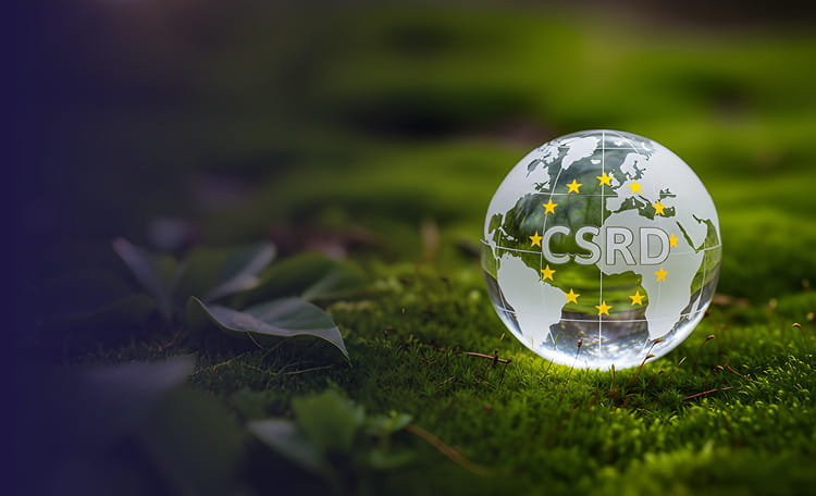 CSRD : comment transformer une contrainte de reporting en levier de valeur immobilière
