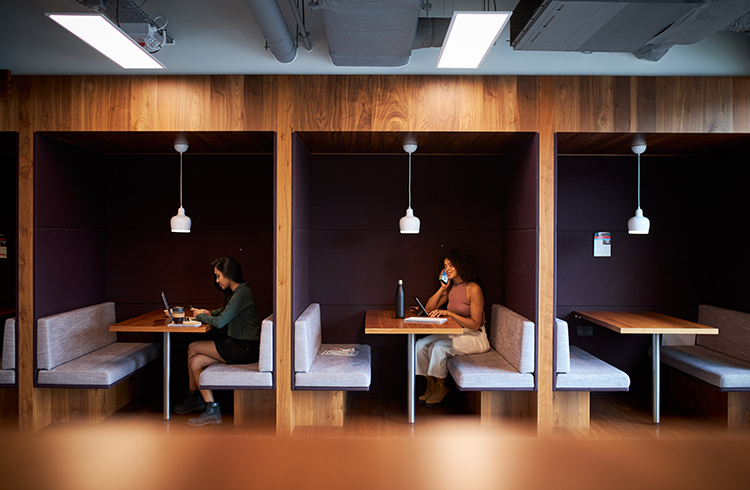 Businesswomen working in separate cubicles in modern office