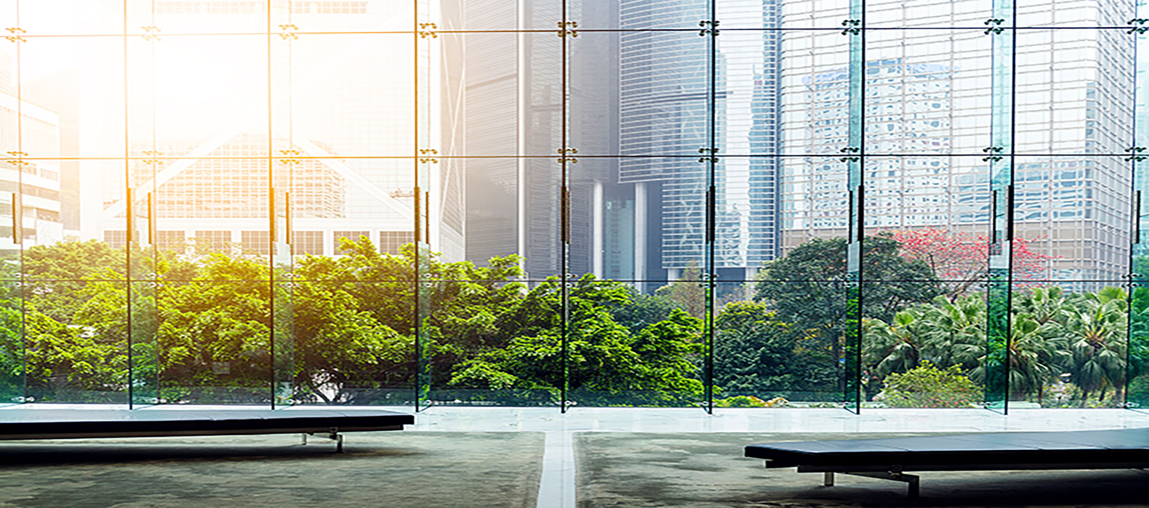 Two benches in building room with big glass windows overlooking a cityscape with trees under a sunny sky