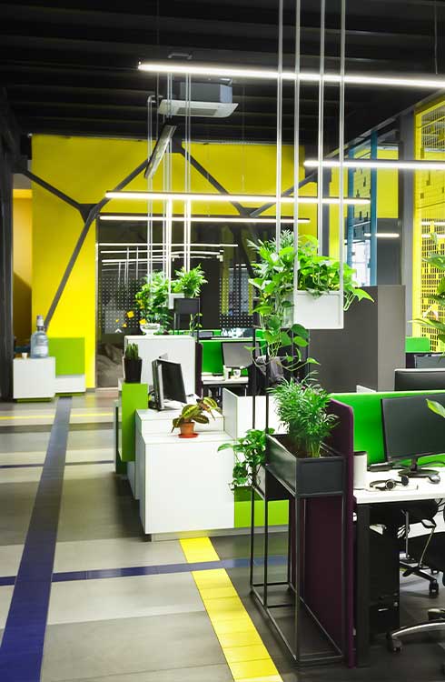 An office with green plants