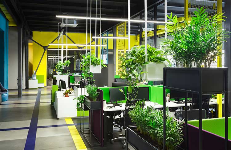 An office with green plants
