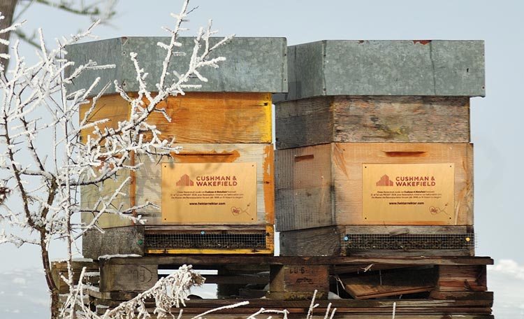 Bee hotels in the winter garden