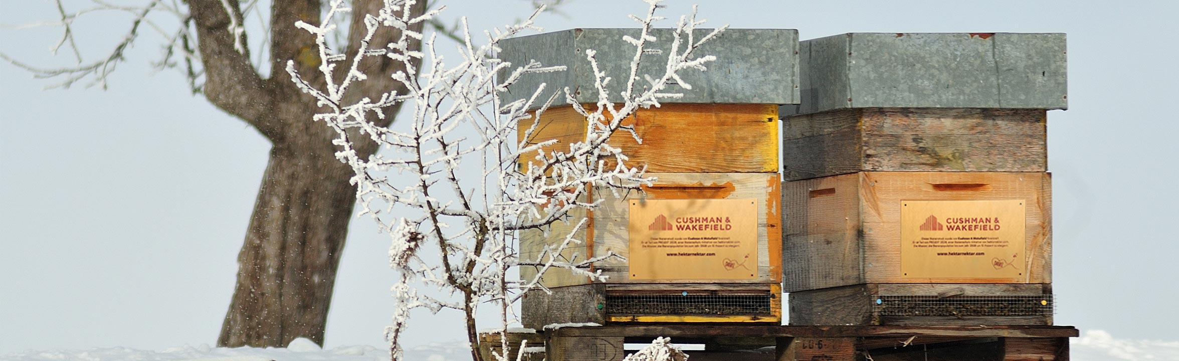 Bienenhotels im Wintergarten
