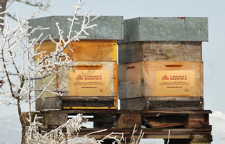 Bienenhotels im Wintergarten