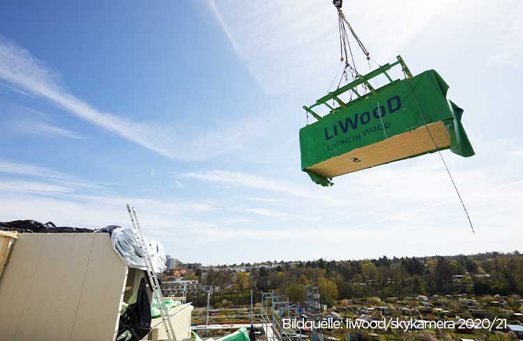 Modular timber building site