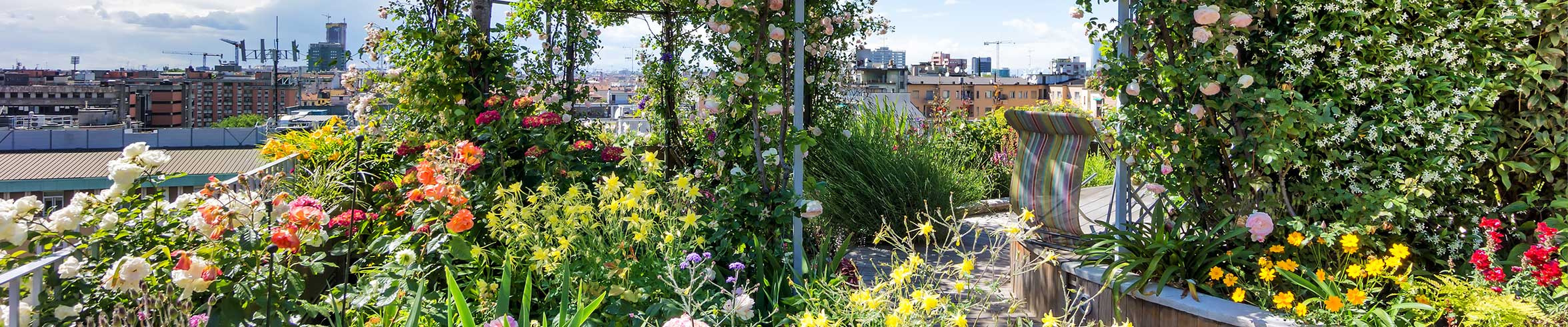 Rooftop Gardening