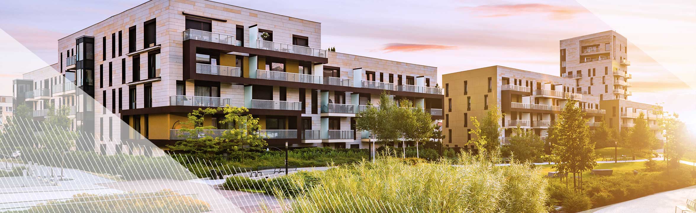 Residential Market Investor Survey