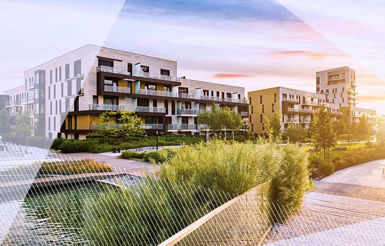 Residential Market Investor Survey