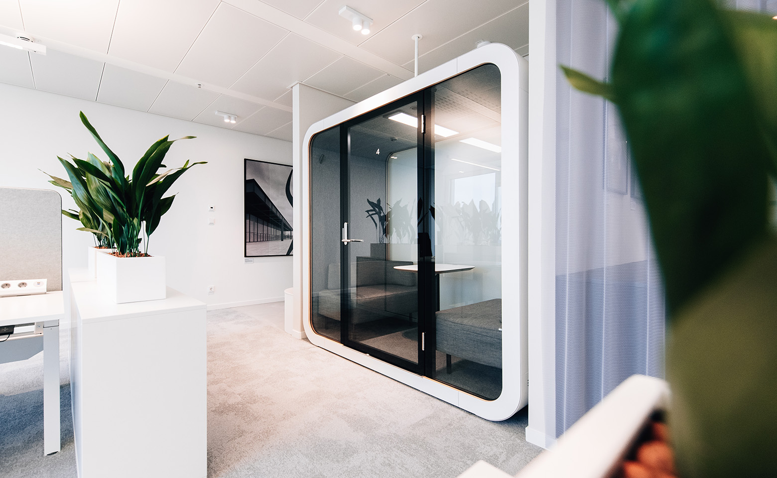 Hamburg office with plants and poster decoration and a white soundproof workstation