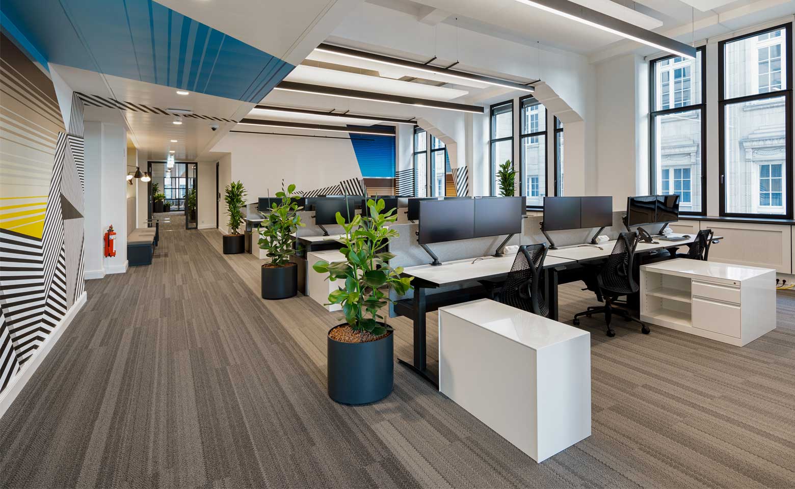 Software company