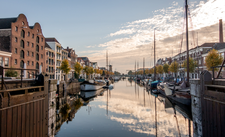 InRotterdam: 'Alle seinen staan op groen'