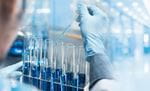 Lab