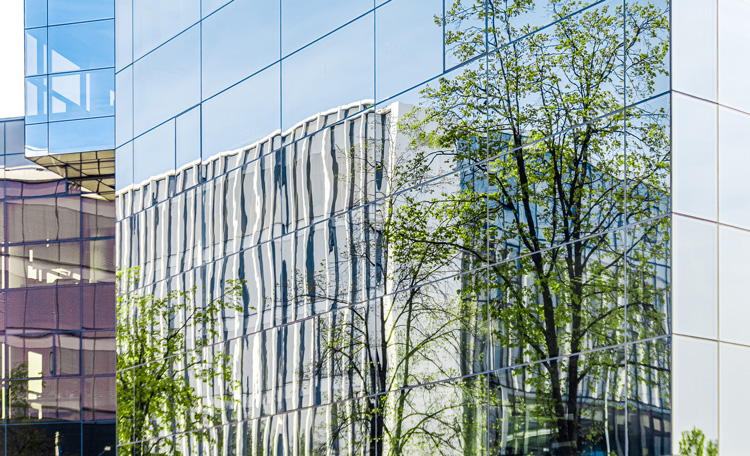 Green is Good, Oficinas Sostenibles