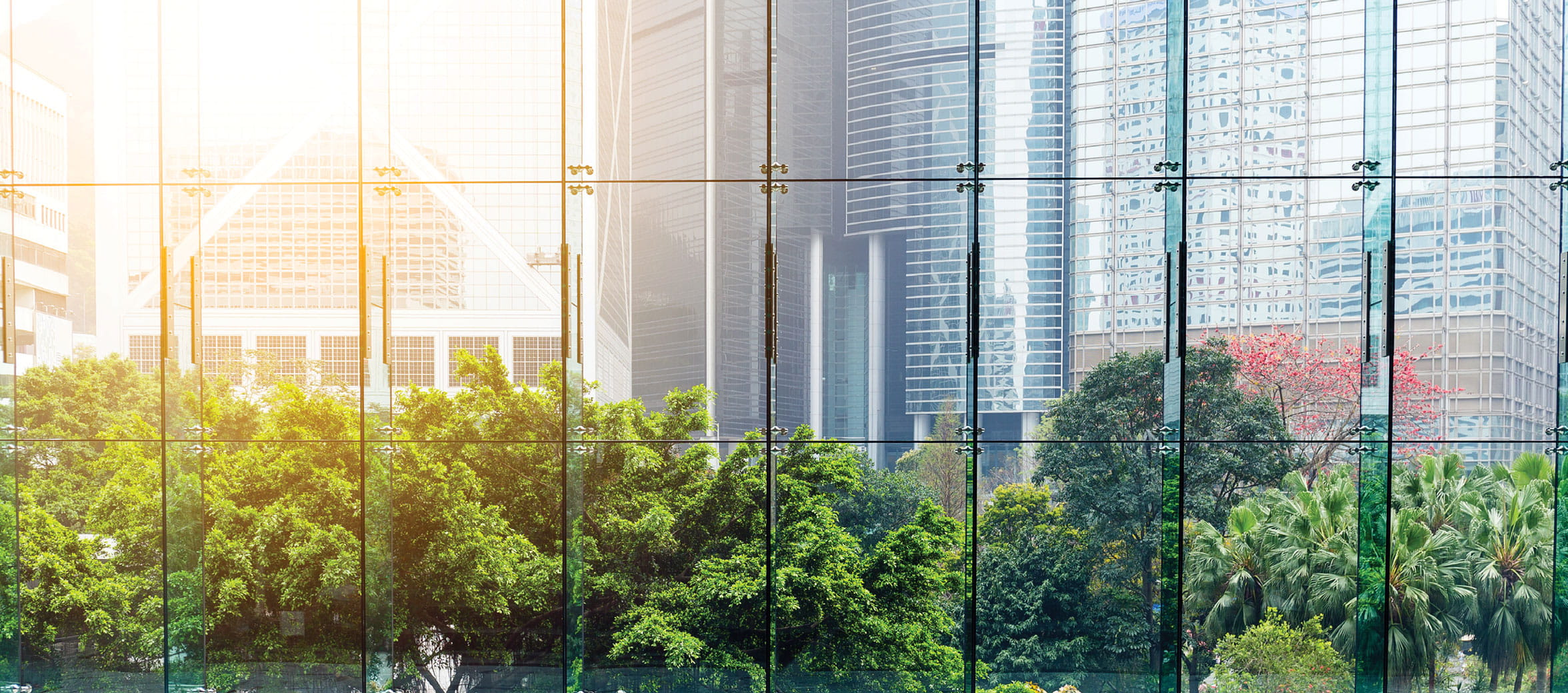 Agency Leasing Services