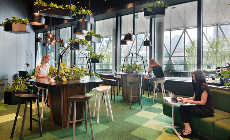 Healthy working: how to bring wellness and sustainability into your workplace