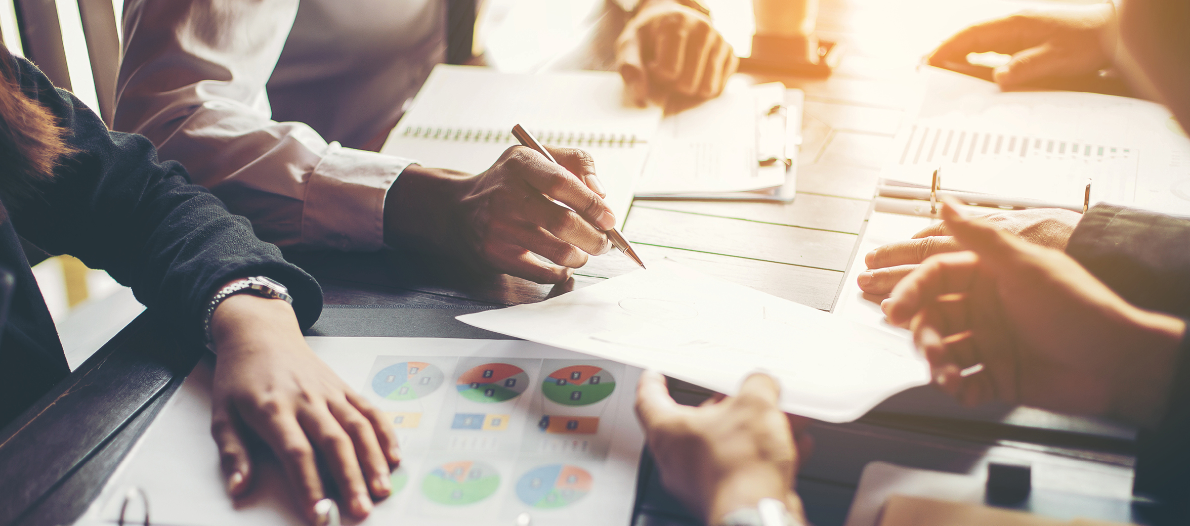 Project & Development Consulting