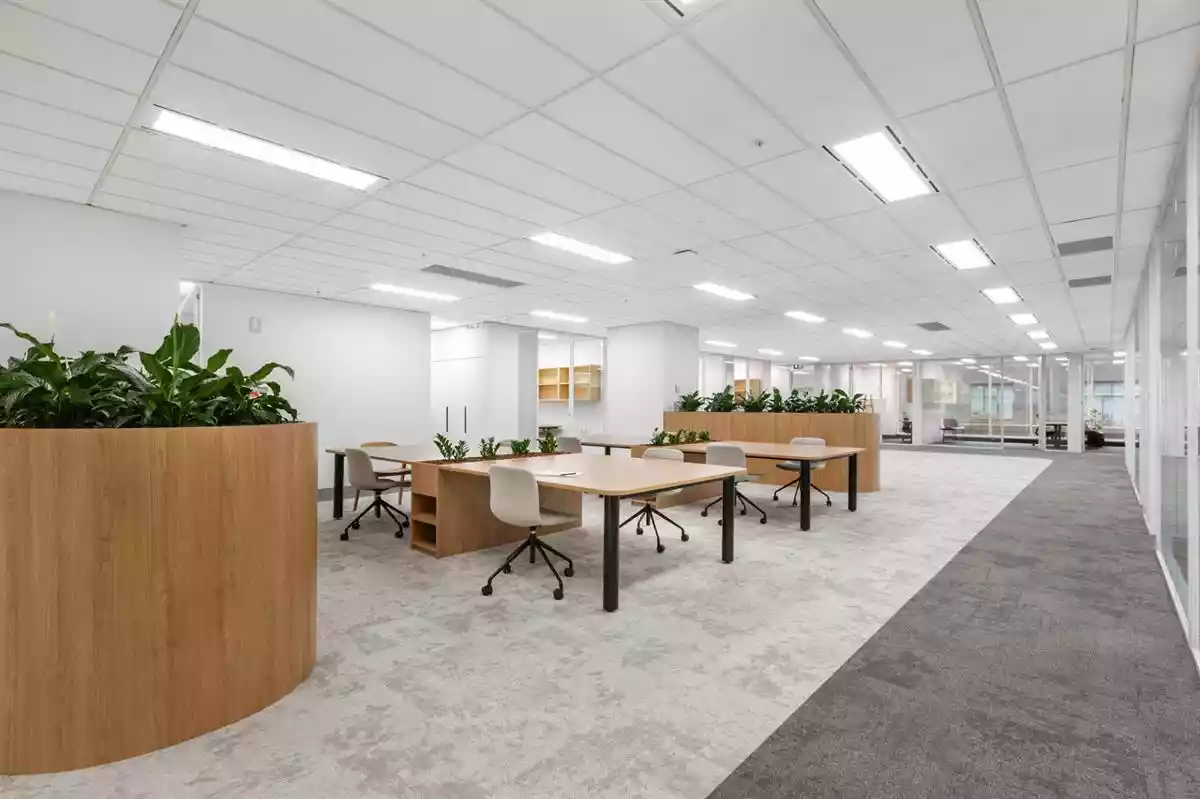 505 Little Collins Street