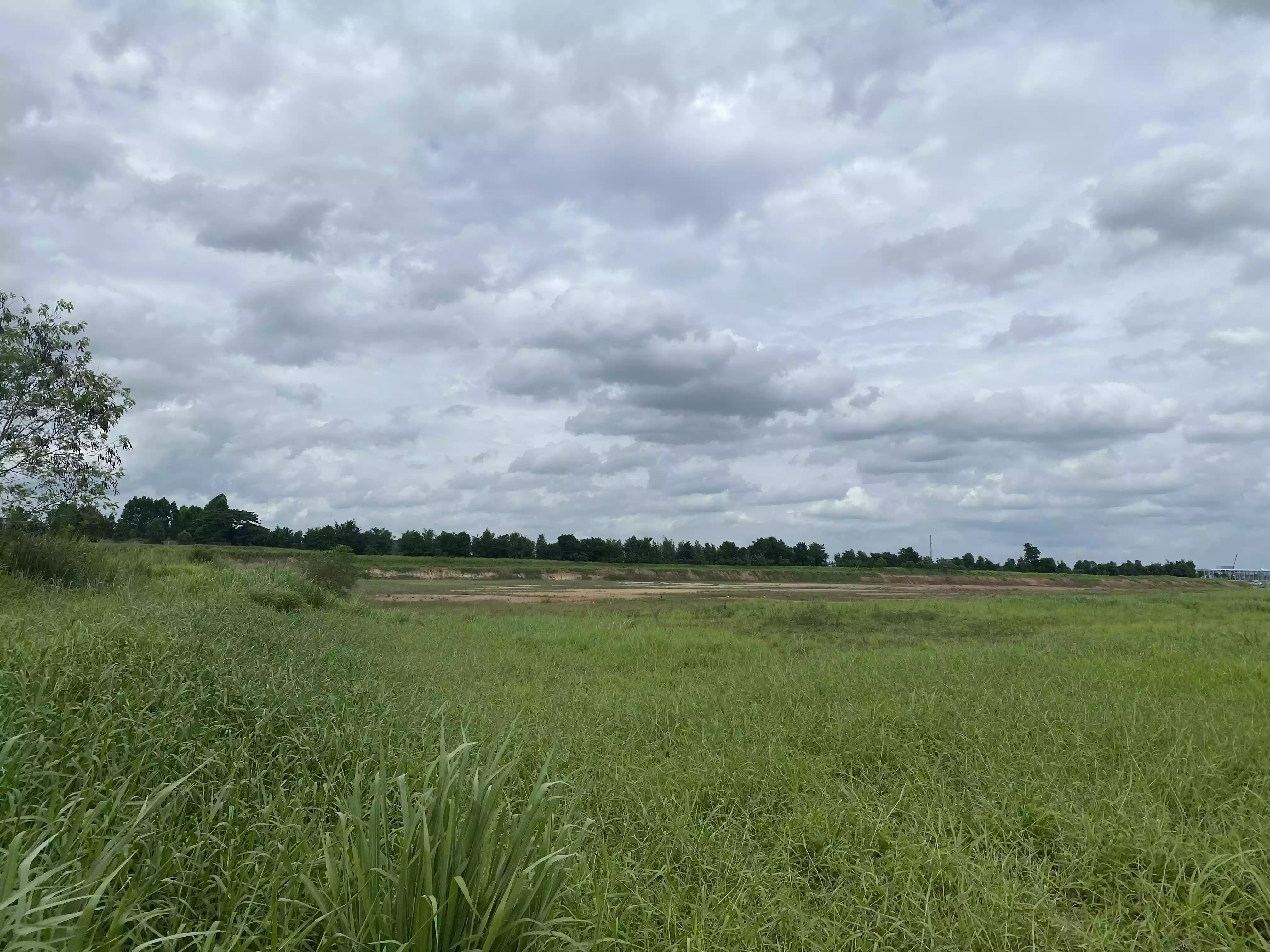 [Freehold] Industrial Land For Sale in Rayong