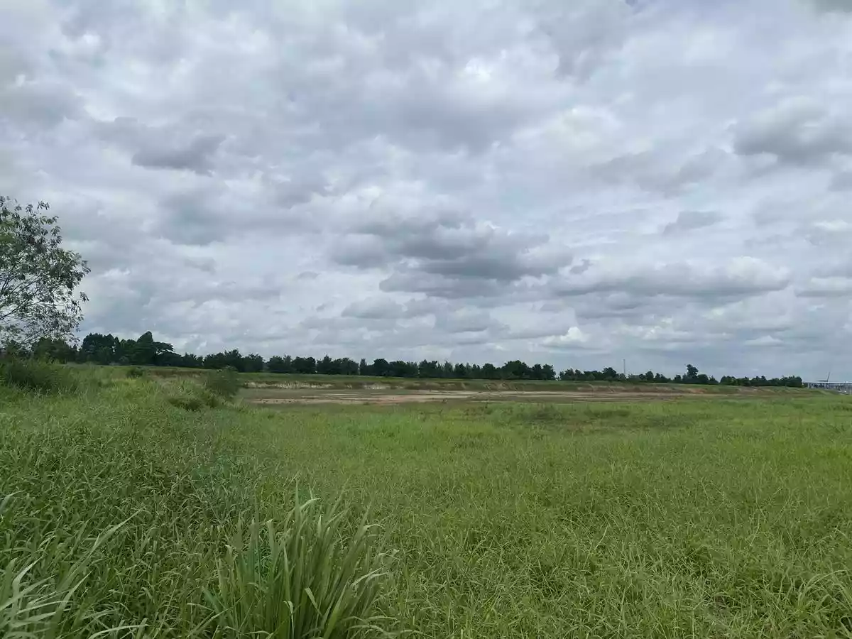 [Freehold] Industrial Land For Sale in Rayong