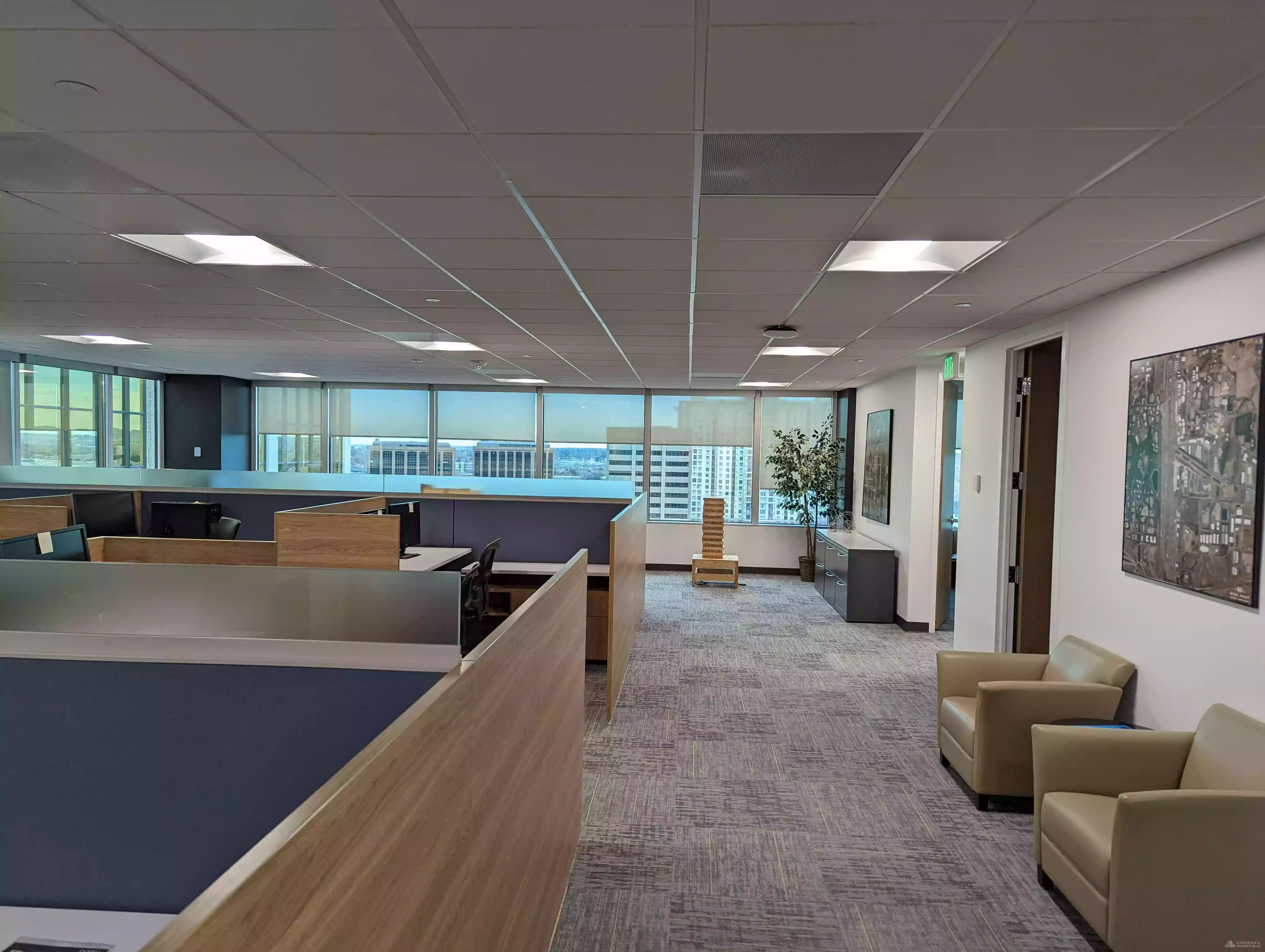 dummy