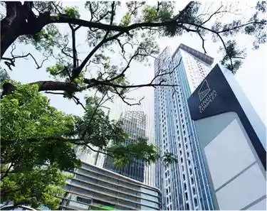 Singha Complex