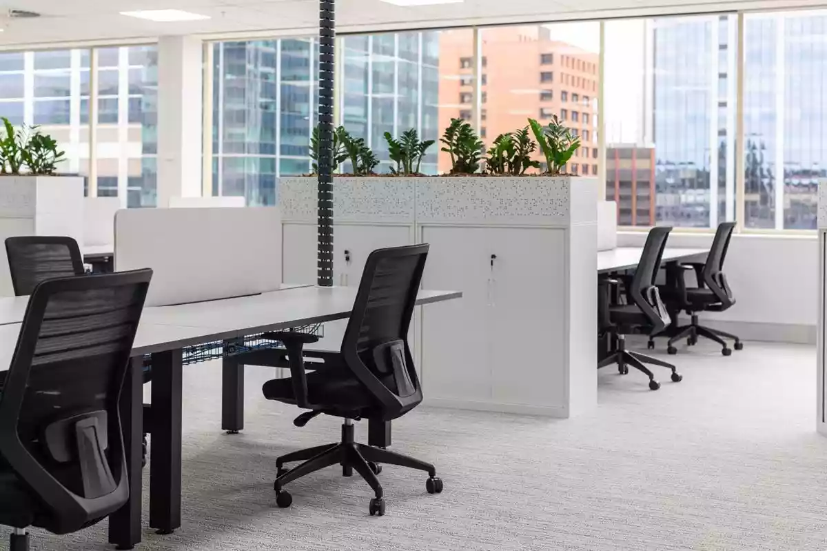 251 St Georges Terrace